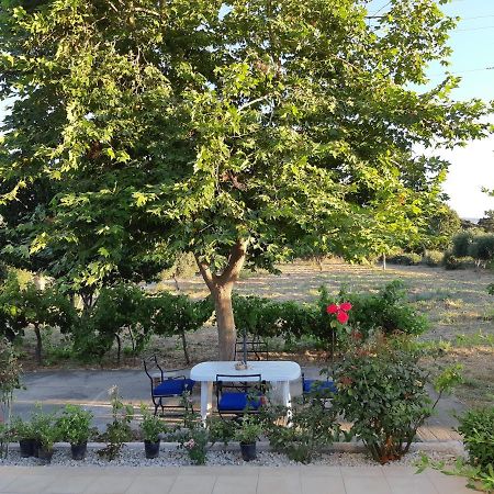 Villa Swan House Panoramic View - Near The Sea Zipárion Exterior foto