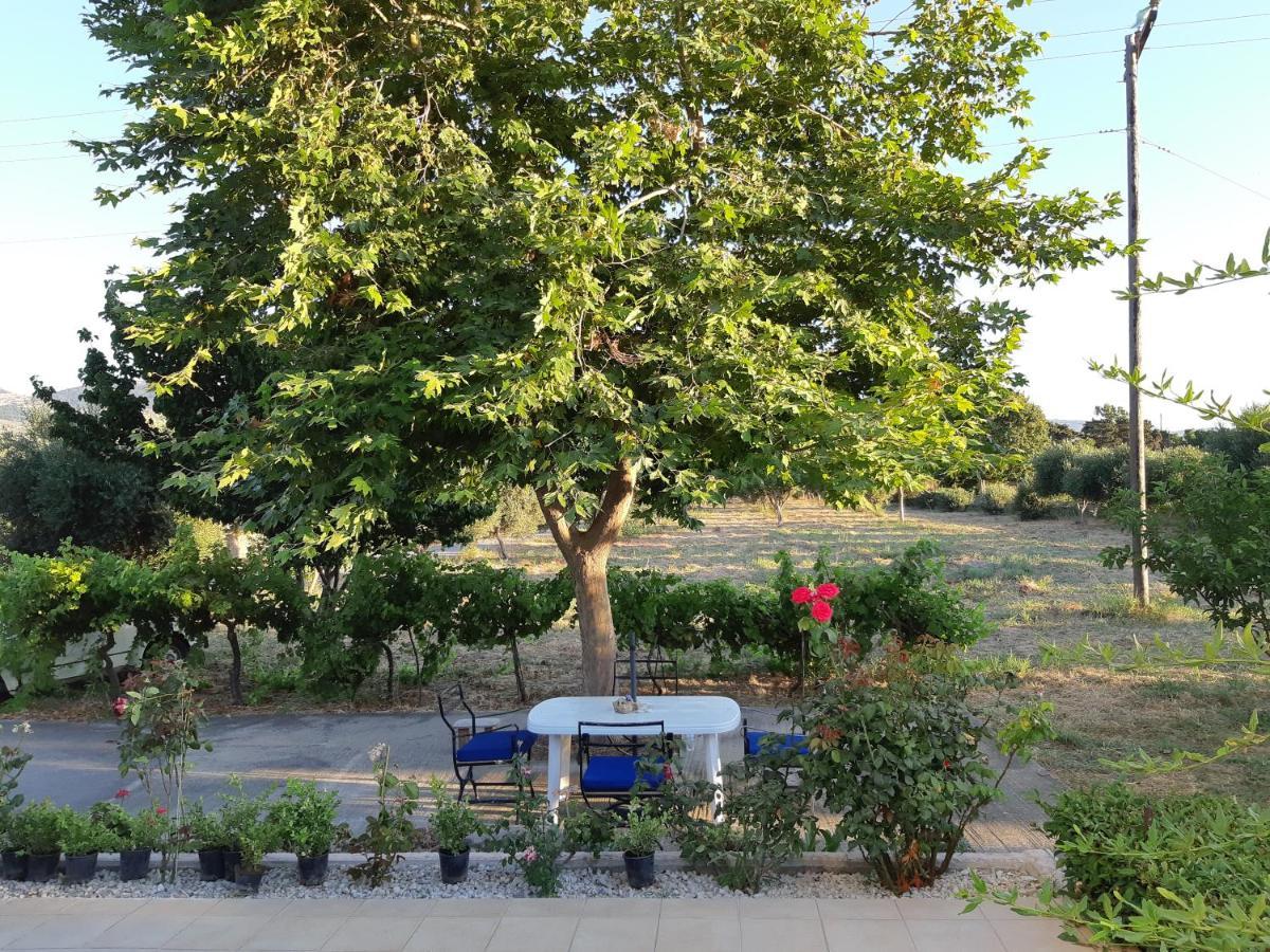 Villa Swan House Panoramic View - Near The Sea Zipárion Exterior foto