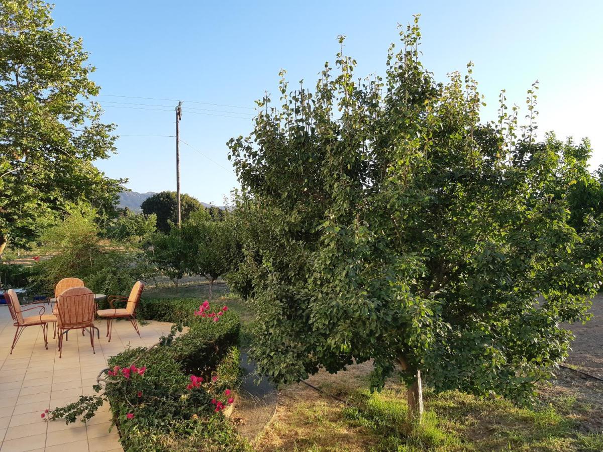 Villa Swan House Panoramic View - Near The Sea Zipárion Exterior foto
