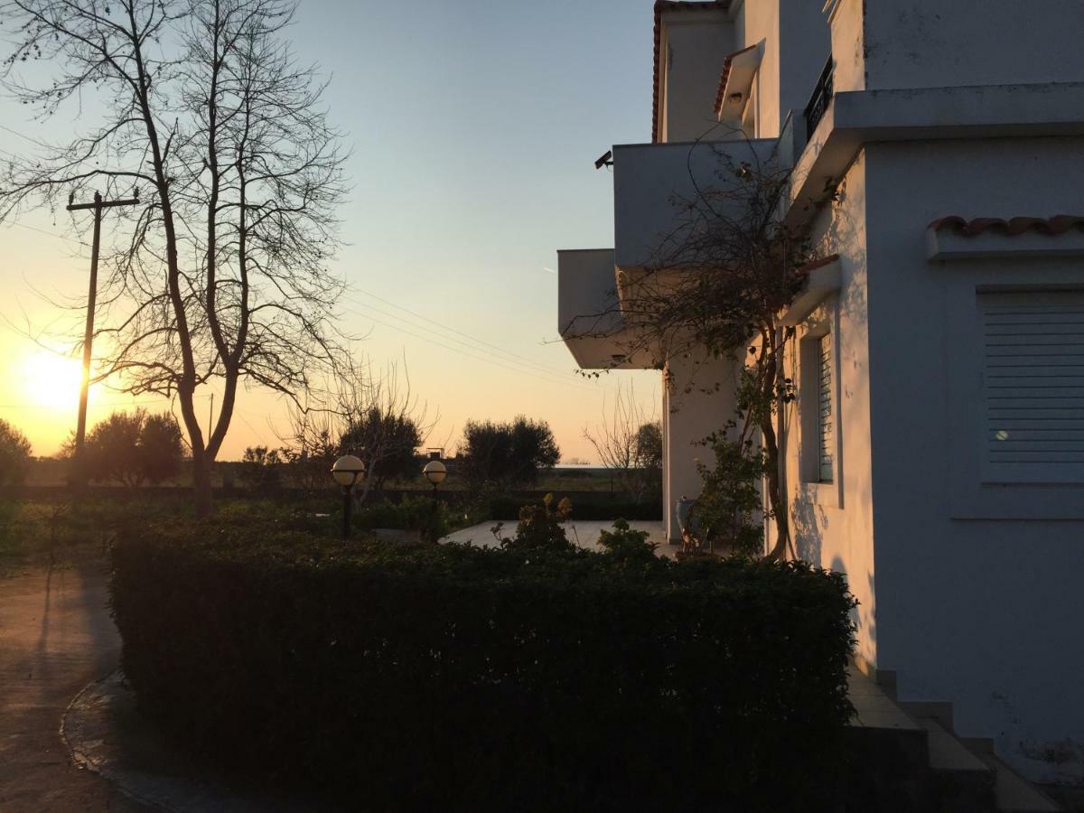 Villa Swan House Panoramic View - Near The Sea Zipárion Exterior foto